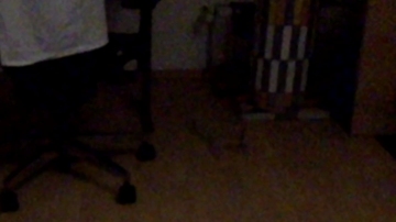 ass2fuck1  09-11-2021 video sensual